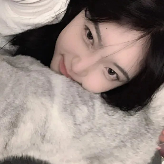 燕尾蝶